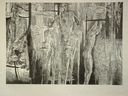 ''Przeżycia'', 1976, linoryt, 38x54.