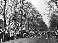 1978-10  1 maja 1978  Jawor, ul. Wrocławska  Obchody 1 maja - Święta Pracy    Uczestnicy pochodu pierwszomajowego prezentujący się przed trybuną honorową.