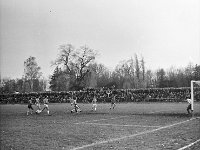 1979-15  1979/1980  Jawor, ul. Parkowa 8, stadion miejski  Mecz ligowy Kuźni Jawor      Zawodnicy Kuźni Jawor w ciemnych spodenkach.