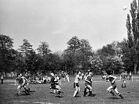 1980-01  1980/1981  Jawor, ul. Parkowa 8, stadion miejski  Mecz ligowy Kuźni Jawor      Zawodnicy Kuźni Jawor w jasnych kszulkach.  Od prawej Marek Nieć, Janusz Rybicki, Leszek Kostrzębski?