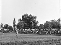 1980-08  1980/1981  Jawor, ul. Parkowa 8, stadion miejski  Mecz ligowy Kuźni Jawor      Zawodnicy Kuźni Jawor w jasnych kszulkach.
