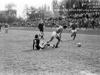 1981-01  05 lipca 1981  Jawor, ul.Parkowa 8, stadion miejski  Mecz Kużnia Jawor z Grunwaldem Halemba (Ruda Śląska)      Kużnia Jawor 5-go lipca 1981 roku, po barażach z Grunwaldem Halemba (Ruda Śląska), wywalczyła drugi w historii awans do III ligi