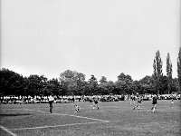 1981-08  05 lipca 1981  Jawor, ul.Parkowa 8, stadion miejski  Mecz Kużnia Jawor z Grunwaldem Halemba (Ruda Śląska)      Kużnia Jawor 5-go lipca 1981 roku, po barażach z Grunwaldem Halemba (Ruda Śląska), wywalczyła drugi w historii awans do III ligi