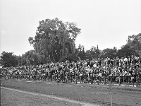 1981-10  19 sierpnia 1981  Jawor, ul. Parkowa 8, stadion miejski  Mecz Kużnia Jawor, Lechia Piechowice    Historyczny debiut w III lidze przypadł na środę 19 sierpnia. Przed własna publicznością podejmowaliśmy Lechię Piechowice. Do przerwy było 1:1, gola dla Kuźni strzelił Janusz Rybicki. Po przerwie tylko jedno trafienie dla Lechii.