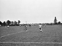 1981-11  19 sierpnia 1981  Jawor, ul. Parkowa 8, stadion miejski  Mecz Kużnia Jawor, Lechia Piechowice    Historyczny debiut w III lidze przypadł na środę 19 sierpnia. Przed własna publicznością podejmowaliśmy Lechię Piechowice. Do przerwy było 1:1, gola dla Kuźni strzelił Janusz Rybicki. Po przerwie tylko jedno trafienie dla Lechii.