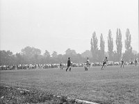 1981-12  19 sierpnia 1981  Jawor, ul. Parkowa 8, stadion miejski  Mecz Kużnia Jawor, Lechia Piechowice    Historyczny debiut w III lidze przypadł na środę 19 sierpnia. Przed własna publicznością podejmowaliśmy Lechię Piechowice. Do przerwy było 1:1, gola dla Kuźni strzelił Janusz Rybicki. Po przerwie tylko jedno trafienie dla Lechii.