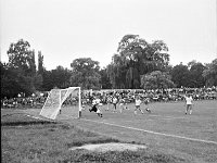 1981-16  19 sierpnia 1981  Jawor, ul. Parkowa 8, stadion miejski  Mecz Kużnia Jawor, Lechia Piechowice    Historyczny debiut w III lidze przypadł na środę 19 sierpnia. Przed własna publicznością podejmowaliśmy Lechię Piechowice. Do przerwy było 1:1, gola dla Kuźni strzelił Janusz Rybicki. Po przerwie tylko jedno trafienie dla Lechii.