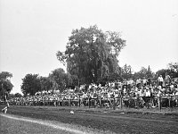 1981-02  2 sierpnia 1981  Jawor, ul Parkowa 8, stadion miejski.  Mecz Kużni Jawor z Miedzią Legnica     Miedz zmierzyła sie z Kuźnią Jawor, zdobywcą okręgowego Pucharu Polski. Spotkanie odbyło się w niedzielę 2 sierpnia 1981 roku w Jaworze 4:3 dla Kuźni Jawor.