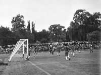 1981-07  1981  Jawor, ul.Parkowa 8, stadion miejski  Mecz Kużnia Jawor, Pafawag Wrocław    Do przerwy bezbramkowy remis, a w drugiej połowie wrocławianie wbijają cztery gole - rezultat końcowy 0:4. Zawodnicy Kużni w jasnych spodenkach.