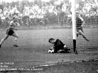 1981 - Zagłebie Wałbrzych