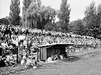 1986-01  1986  Jawor, ul. Parkowa 8, stadion miejski  Mecz III ligowa Kuźni Jawor Zagłębie Wałbrzych    Remis 1:1. Od lewej Waldemar Wójcicki trener, asystent Henryk Dulik, Czaesław Ungton ?Janusz Włoszczak, Marek Grzęda.