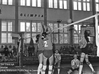 1994-09  styczeń 1994  Jawor, Plac Bankowy 1. Szkoła Podstawowa nr 2, sala gimnastyczna  Klub Sportowy Olimpia      Mistrzostwa Jawora i podrejonu