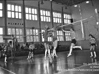 1994-12  styczeń 1994  Jawor, Plac Bankowy 1. Szkoła Podstawowa nr 2, sala gimnastyczna  Klub Sportowy Olimpia      Mistrzostwa Jawora i podrejonu