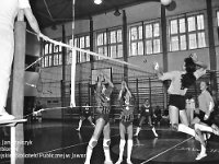 1994-13  styczeń 1994  Jawor, Plac Bankowy 1. Szkoła Podstawowa nr 2, sala gimnastyczna  Klub Sportowy Olimpia      Mistrzostwa Jawora i podrejonu