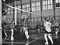 1994-15  styczeń 1994  Jawor, Plac Bankowy 1. Szkoła Podstawowa nr 2, sala gimnastyczna  Klub Sportowy Olimpia      Mistrzostwa Jawora i podrejonu