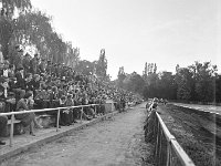 1979-21  1979  Jawor, ul. Parkowa 8.Stadion miejski  Autorodeo