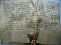 1309 r., Dokument książąt Henryka i Bernarda nadający ziemię rycerzowi Friczko w Jeleniej Górze (Malinniku)