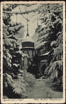 Agnetendorf i. Rsgb. Villa Gerhart Hauptmann [Dokument ikonograficzny]