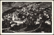 Liebenthal Bez. Liegnitz v. Flugzeug aus [Dokument ikonograficzny]