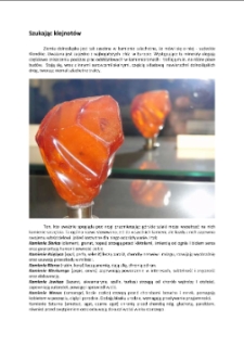 Szukając klejnot&oacute;w [Dokument elektroniczny]