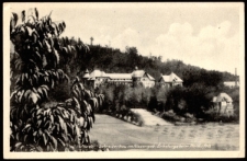 Nieder-Schreiberhau im Riesengeb. Erholungsheim Moltkefels [Dokument ikonograficzny]