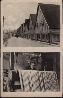 Bergstadt Schömberg in Schlesien [Dokument ikonograficzny]