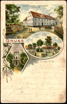 Gruss aus Thielitz. [Dokument ikonograficzny]