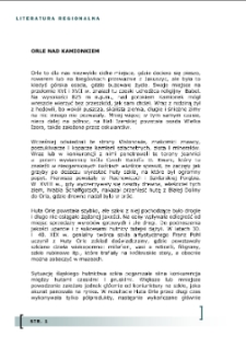 Orle nad Kamionkiem [Dokument elektroniczny]