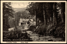 Riesengebirge. Alte schlesische Baude 1168 m &uuml;.M. [Dokument ikonograficzny]