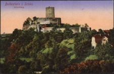 Bolkenhain i. Schles. Bolkoburg. [Dokument ikonograficzny]