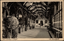 Bad-Flinsberg i/Isergeb. [Dokument ikonograficzny]