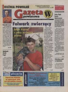 Gazeta Powiatowa - Wiadomości Oławskie, 2001, nr 21 (419) [Dokument elektyroniczny]