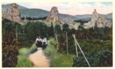 Riesengebirge. Dreistaine 1204 m ü. M. [Dokument ikonograficzny]