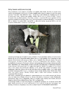 Góry Sowie widziane inaczej [Dokument elektroniczny]