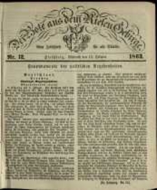 Der Bote aus dem Riesen-Gebirge : eine Zeitschrift für alle Stände, R. 51, 1863, nr 12