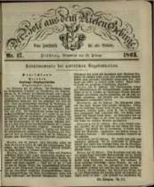 Der Bote aus dem Riesen-Gebirge : eine Zeitschrift für alle Stände, R. 51, 1863, nr 17