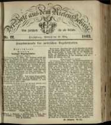 Der Bote aus dem Riesen-Gebirge : eine Zeitschrift für alle Stände, R. 51, 1863, nr 22