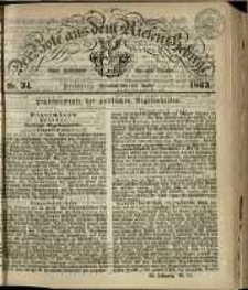 Der Bote aus dem Riesen-Gebirge : eine Zeitschrift für alle Stände, R. 51, 1863, nr 34