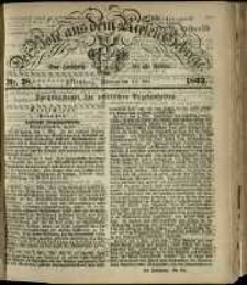 Der Bote aus dem Riesen-Gebirge : eine Zeitschrift für alle Stände, R. 51, 1863, nr 38