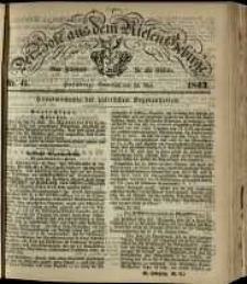 Der Bote aus dem Riesen-Gebirge : eine Zeitschrift für alle Stände, R. 51, 1863, nr 41
