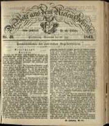 Der Bote aus dem Riesen-Gebirge : eine Zeitschrift für alle Stände, R. 51, 1863, nr 49