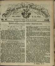 Der Bote aus dem Riesen-Gebirge : eine Zeitschrift für alle Stände, R. 51, 1863, nr 91