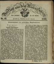 Der Bote aus dem Riesen-Gebirge : eine Zeitschrift für alle Stände, R. 51, 1863, nr 95