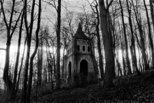 Bukowiec : ruiny opactwa [Dokument ikonograficzny]