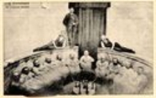 Bad Warmbrunn. Im grossen Bassin [Dokument ikonograficzny]