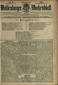 Waldenburger Wochenblatt, Jg. 38, 1892, nr 45