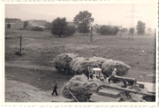 Akcja żniwa w 1968 r., zdjęcie 4