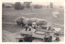 Akcja żniwa w 1968 r., zdjęcie 6