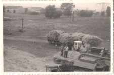 Akcja żniwa w 1968 r., zdjęcie 8
