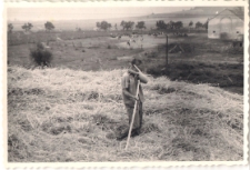 Akcja żniwa w 1968 r., zdjęcie 10